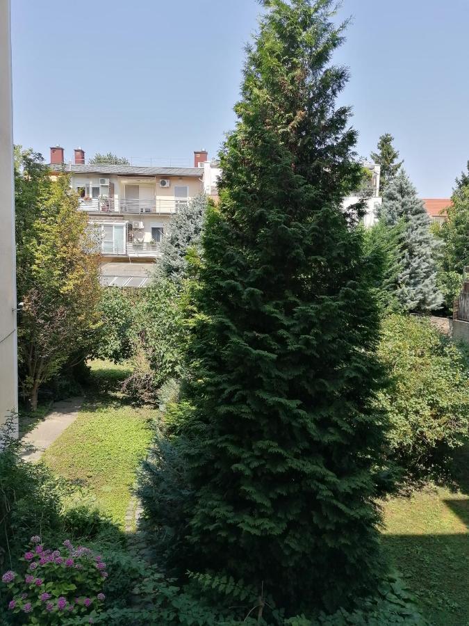 A Jump From Downtown Daire Budapeşte Dış mekan fotoğraf
